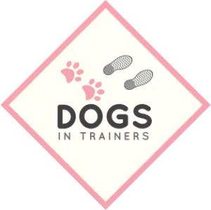 Dogs In Trainers