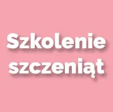 Szkolenie szczeniąt