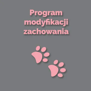 Program modyfikacji zachowania