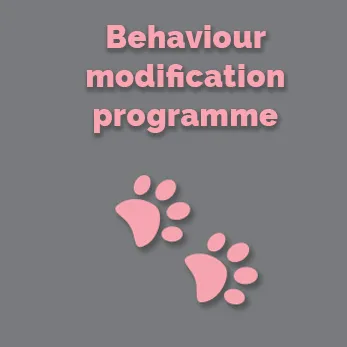 Behaviour Modification Programme